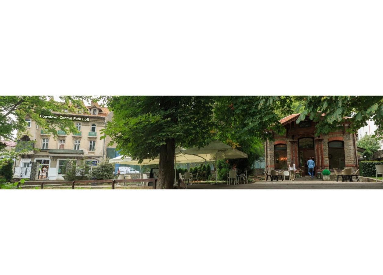 Downtown Park Loft Apartment Sinaia Exterior photo