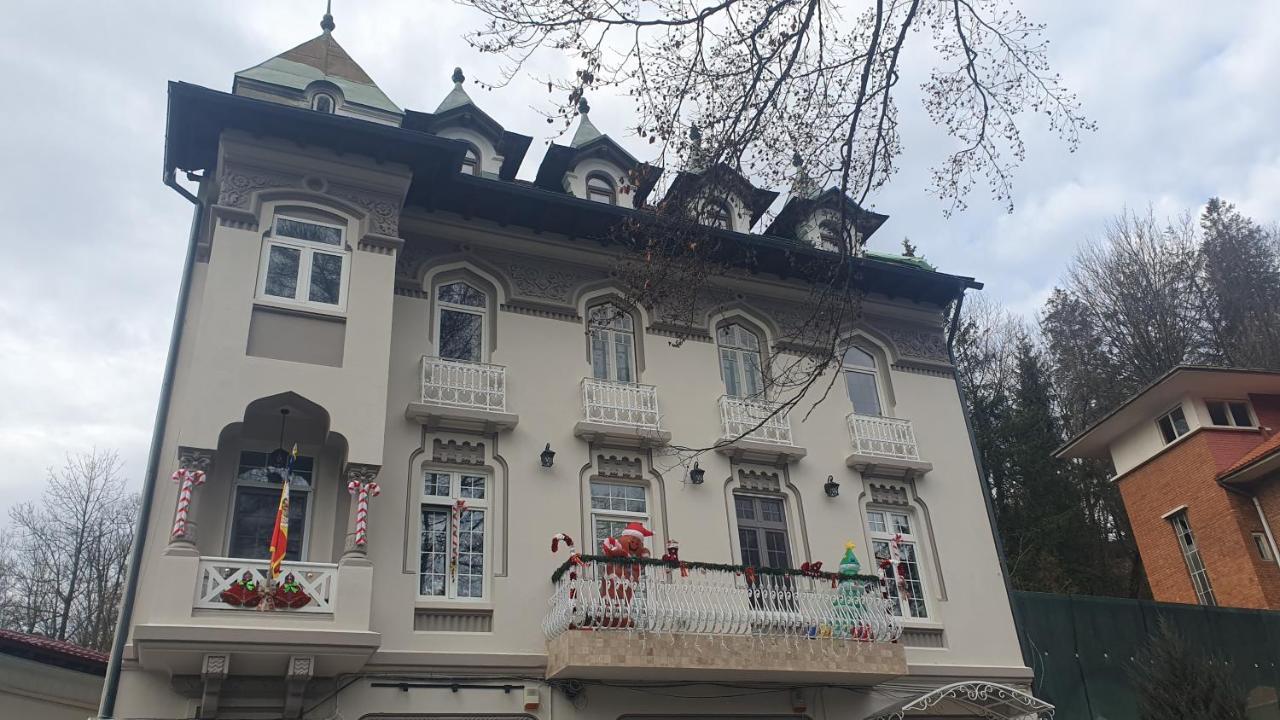 Downtown Park Loft Apartment Sinaia Exterior photo