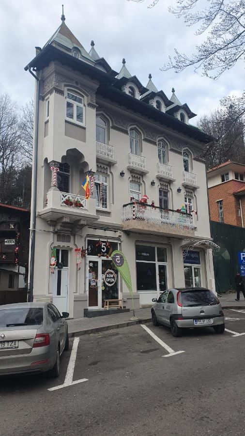 Downtown Park Loft Apartment Sinaia Exterior photo